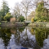 Breaffy House Pond image